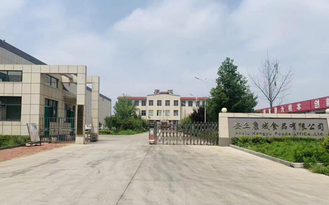 图片1_副本.png